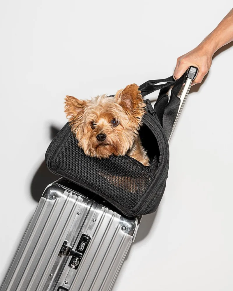 All-Travel Pet Carrier in Black