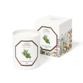 Carrière Frères 'Scented Candle' Collection (185g)