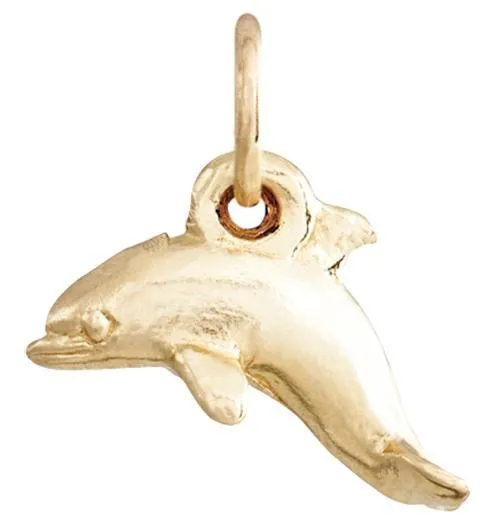 Dolphin Mini Charm