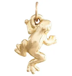 Frog Mini Charm